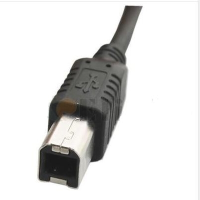Um homem à taxa de transferências masculina do cabo de transferência de dados de USB do cabo de B até 480Mbps