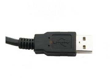 Um homem à taxa de transferências masculina do cabo de transferência de dados de USB do cabo de B até 480Mbps