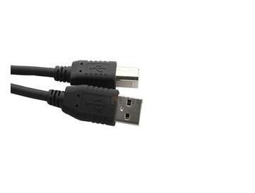 Um homem à taxa de transferências masculina do cabo de transferência de dados de USB do cabo de B até 480Mbps