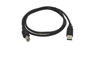 Um homem à taxa de transferências masculina do cabo de transferência de dados de USB do cabo de B até 480Mbps